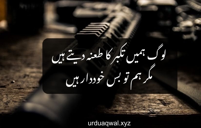 attitude poetry in urdu copy paste