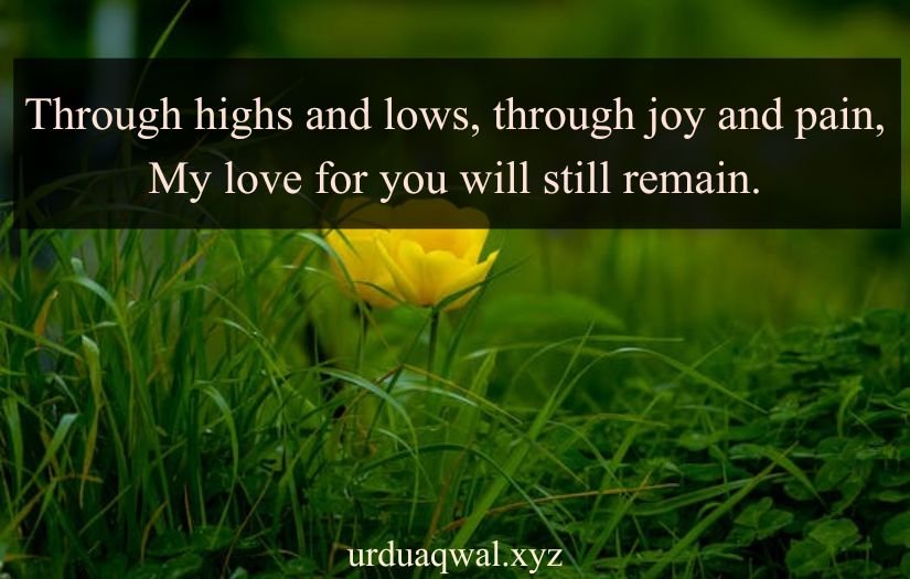 romantic love shayari in english 