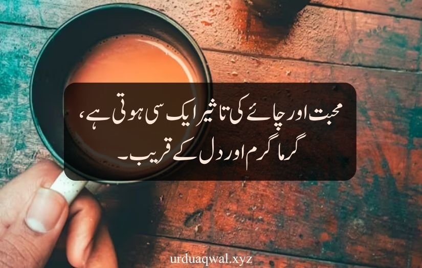 tea quotes in urdu