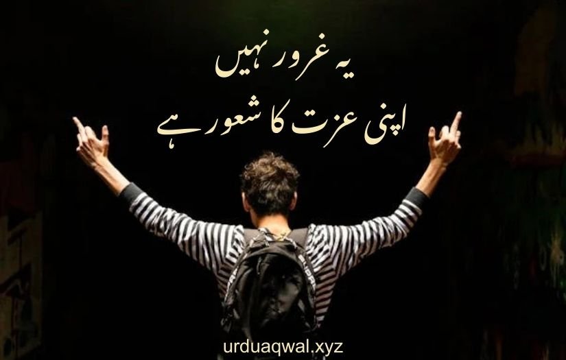 attitude poetry in urdu copy paste