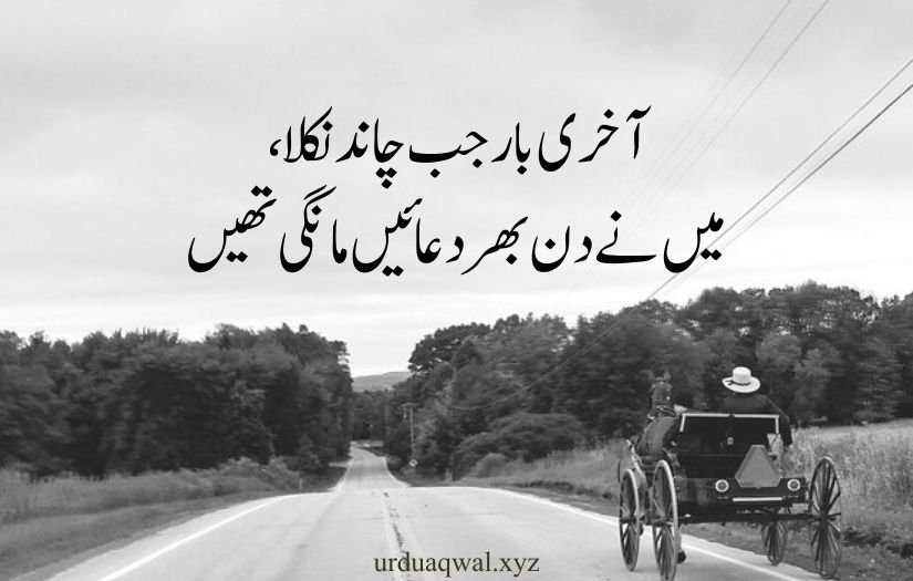 1 line quotes in urdu