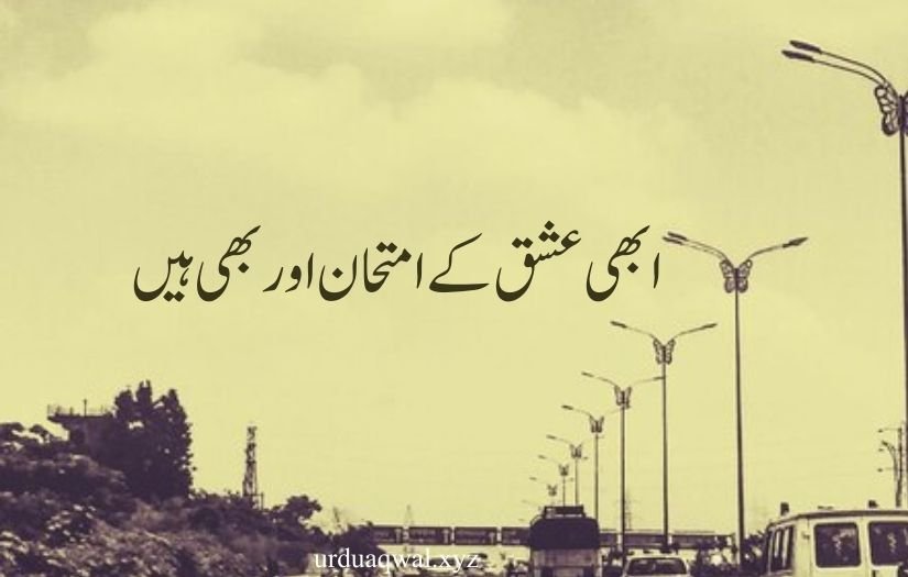 1 line quotes in urdu