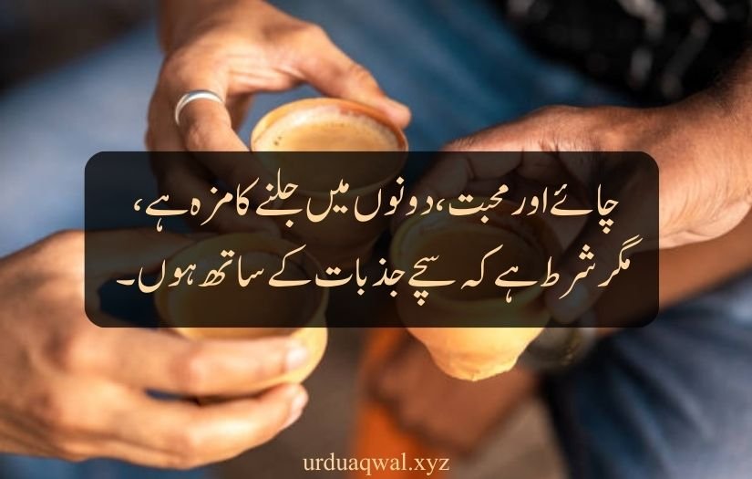 tea quotes in urdu