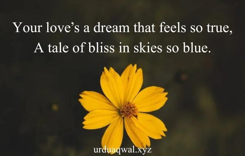 romantic love shayari in english 