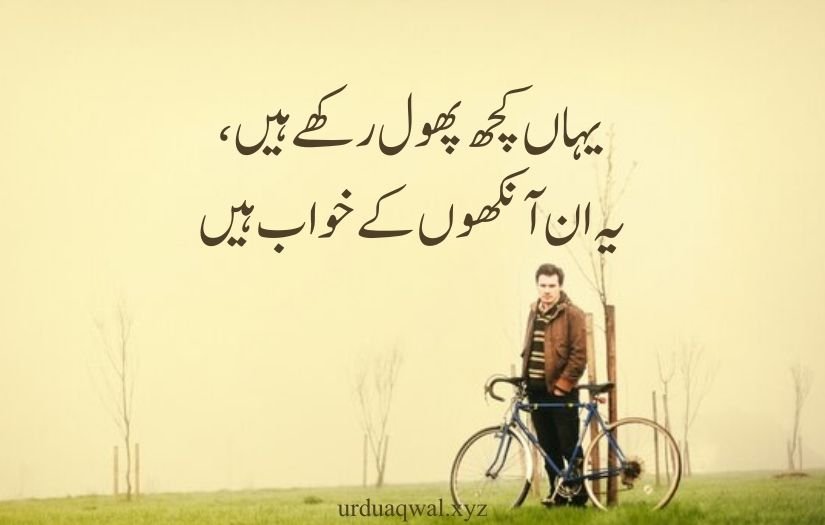 1 line quotes in urdu