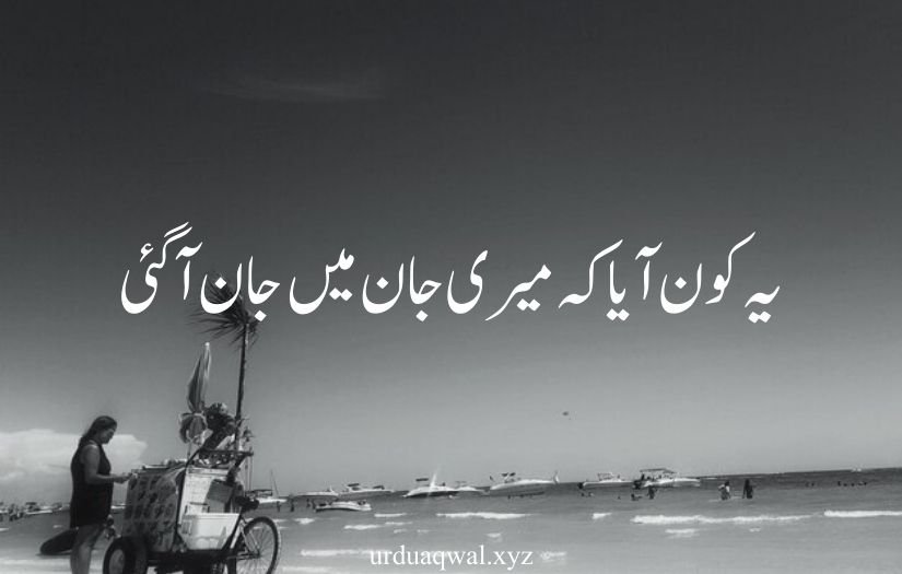 1 line quotes in urdu