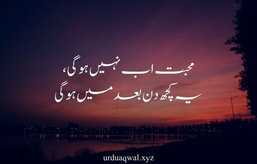 one line quotes in urdu