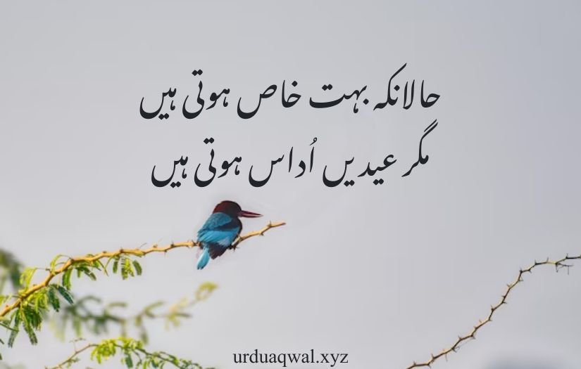 eid ul fitr poetry in urdu 2025