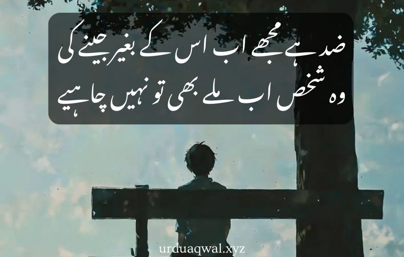 deep sad quotes in urdu